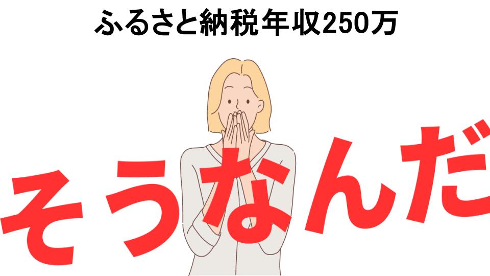 意味ないと思う人におすすめ！ふるさと納税年収250万の代わり